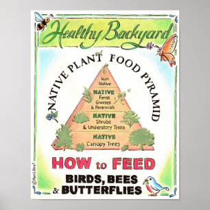 Native Plants Feed Birds, Bees and Butterflies Poster