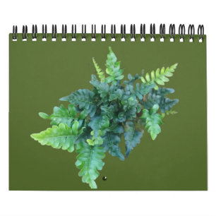 Native Plants - Pacific northwest Calendar