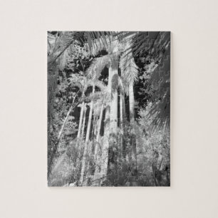 Native Royal Palms in Fakahatchee Strand, Jigsaw Puzzle