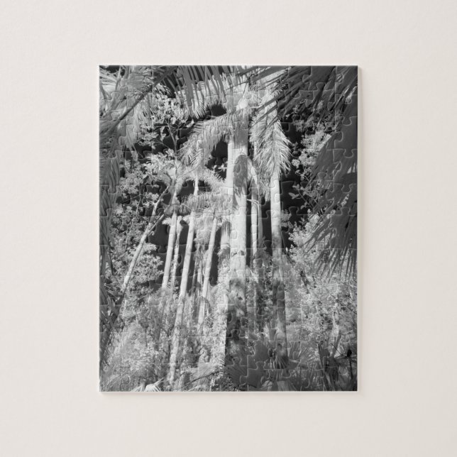 Native Royal Palms in Fakahatchee Strand, Jigsaw Puzzle (Vertical)