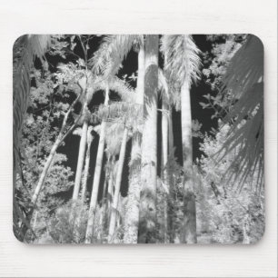Native Royal Palms in Fakahatchee Strand, Mouse Pad