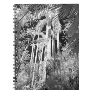 Native Royal Palms in Fakahatchee Strand, Spiral Notebook
