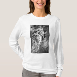 Native Royal Palms in Fakahatchee Strand, T-Shirt