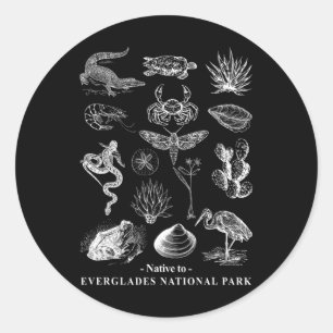 Native To Everglades National Park Nature Lover Ca Classic Round Sticker