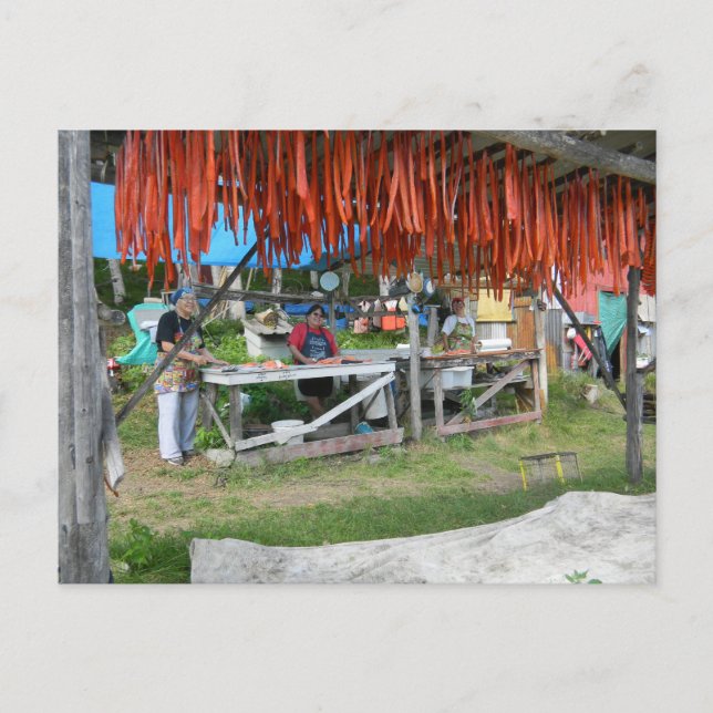 Native Women Prepare Salmon For Drying In Alaska Postcard (Front)