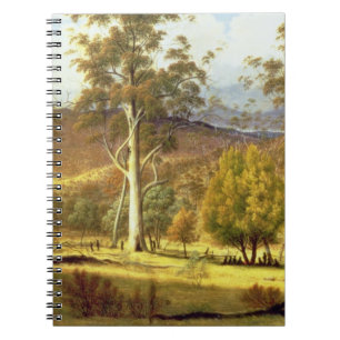 Natives in the Eucalypt Forest on Mills Plains, Pa Spiral Notebook