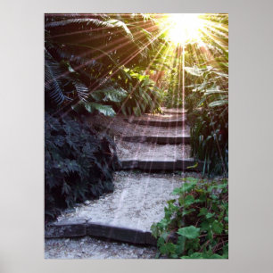 Natural Ascension Poster