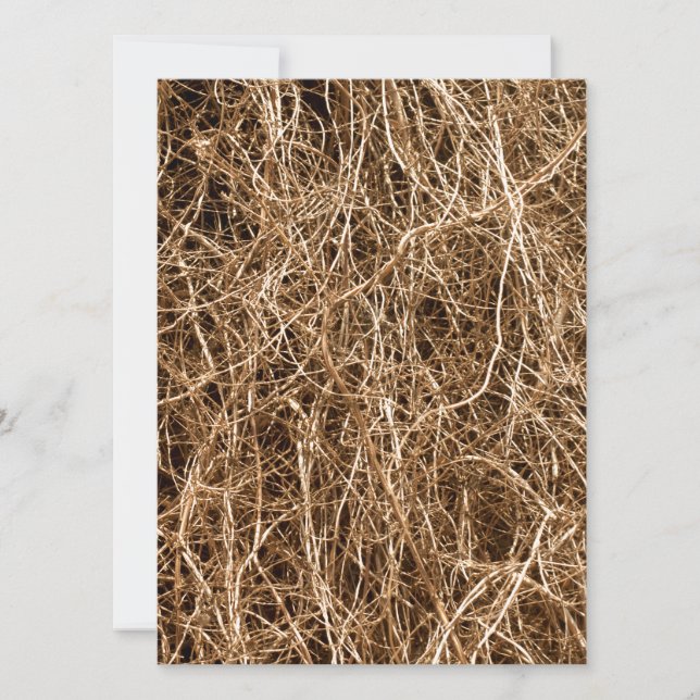 Natural background hay (Front)