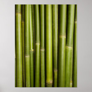 Natural Bamboo Zen Background Customised Template Poster
