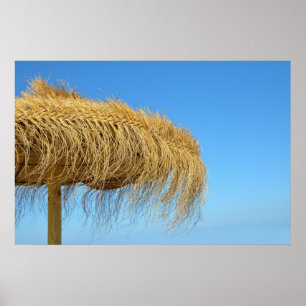 Natural beach umbrella poster