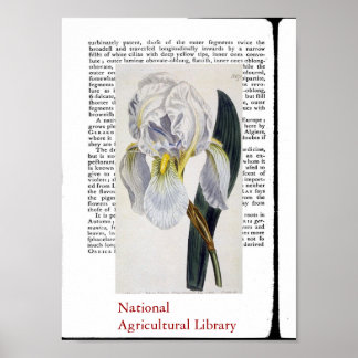 Natural Botanical Print Two