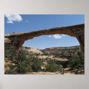 Natural Bridges National Monument Poster