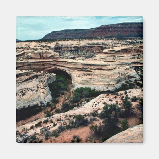 Natural Bridges National park Magnet (Front)