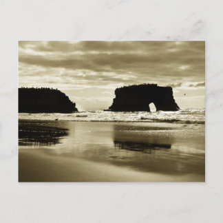 Natural Bridges State Beach Postcard
