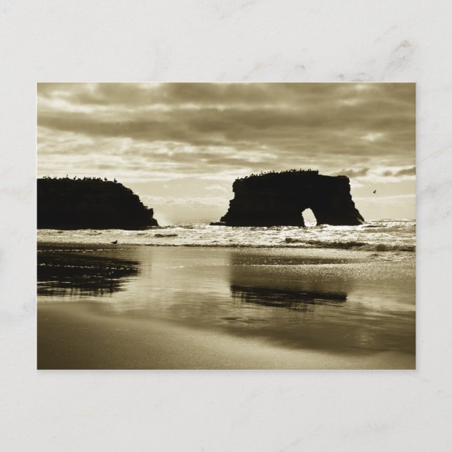 Natural Bridges State Beach Postcard (Front)