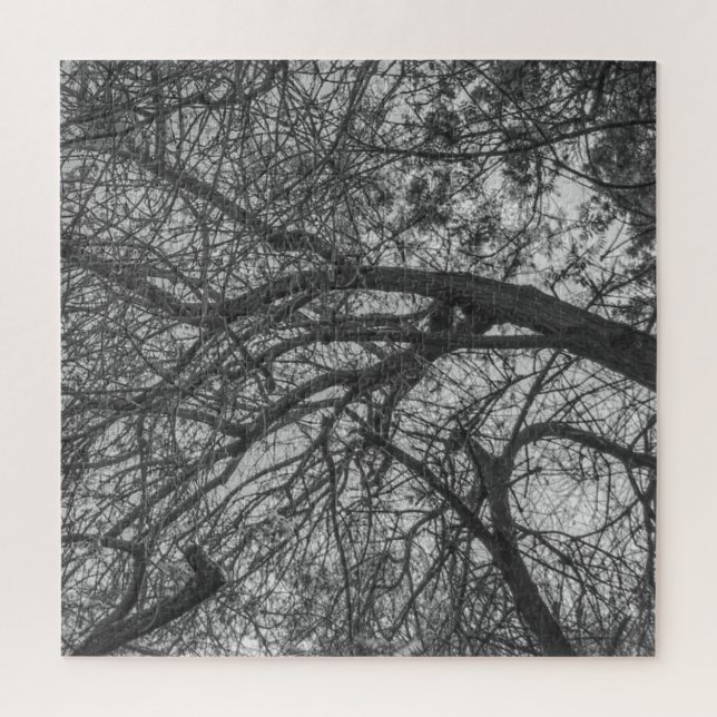 Natural Chaos Puzzle (Vertical)