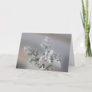 Natural Christmas Decorations Holiday Card