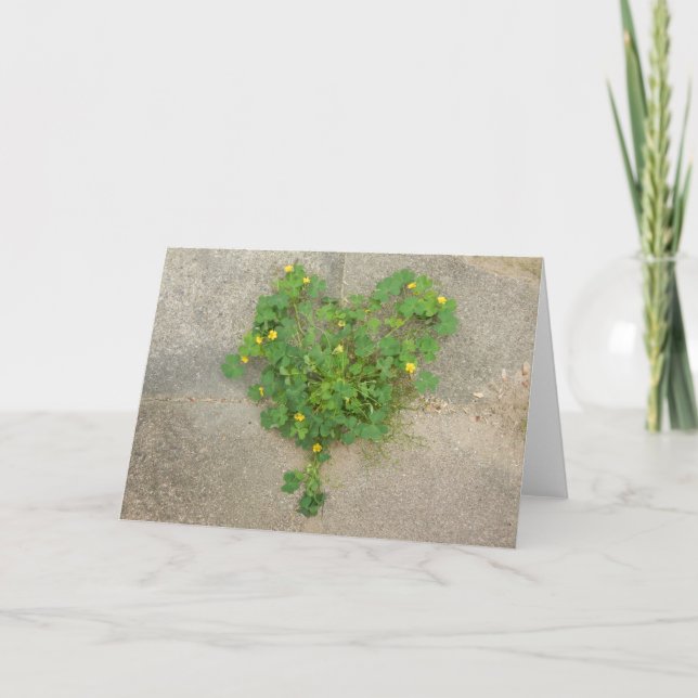 Natural Clover Heart Photo Card (Front)