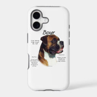 Natural Coloured Boxer Meet the Breed