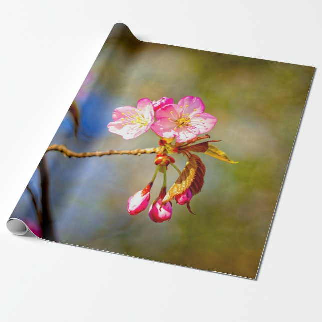 Natural Composition Of Sakura Flowers Wrapping Paper (Unrolled)