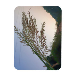 Natural design magnet
