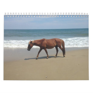 Natural Environment Calender Calendar
