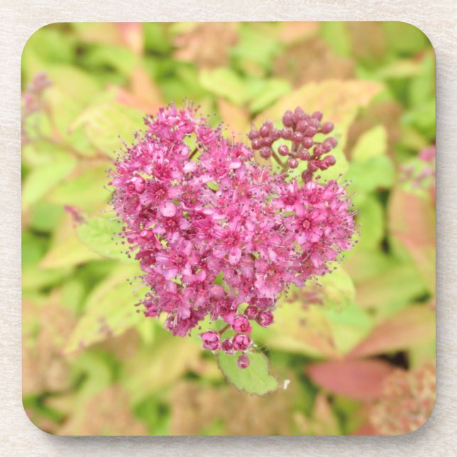 Natural Flower Heart - pierced by arrow.   Coaster (Front)