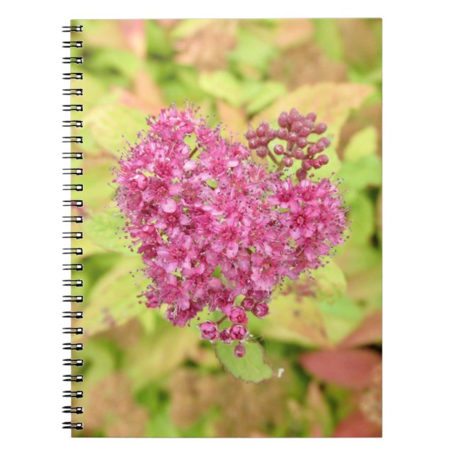 Natural Flower Heart - pierced by arrow.   Notebook (Front)