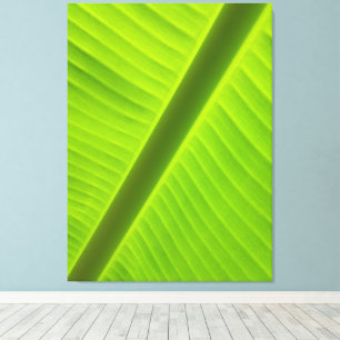 Natural Geometry in Sunlit Green Photography Canvas Print