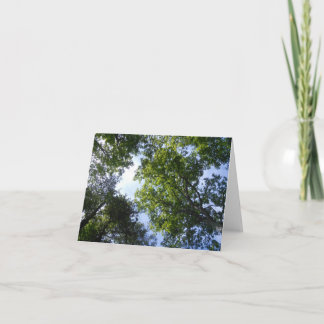 Natural Green Card