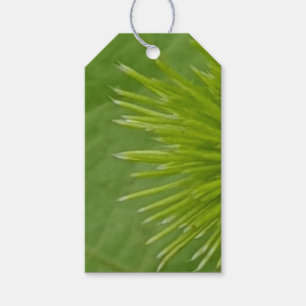 Natural Green Gift Tag