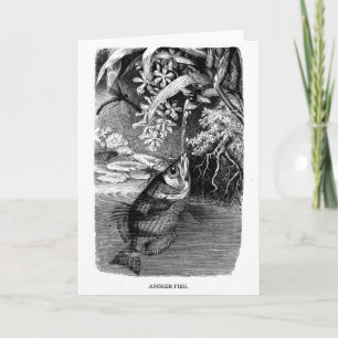 Natural History Blank Note Card