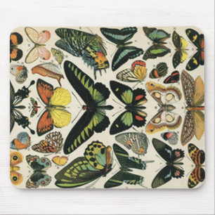 Natural History Butterfly Mouse Pad
