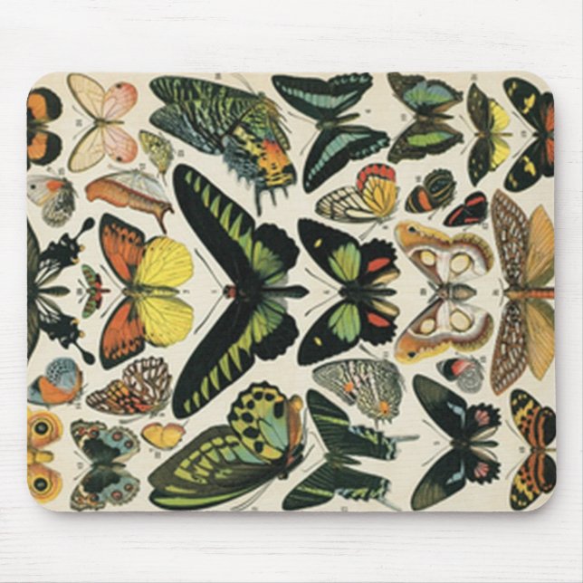 Natural History Butterfly Mouse Pad (Front)