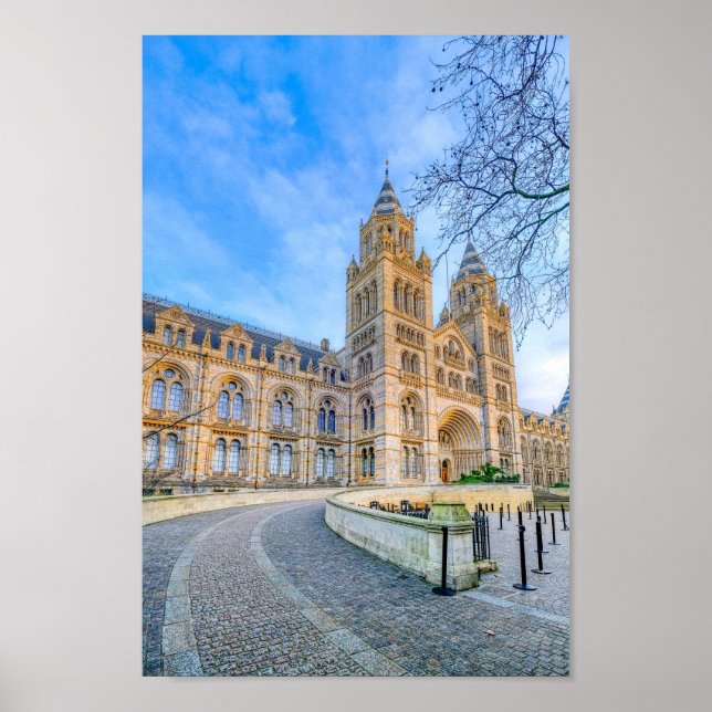 Natural History Museum, London Poster Print (Front)