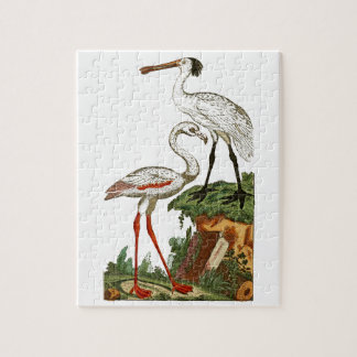 Natural history of birds 1795 Plate 33 Small Jigsaw Puzzle