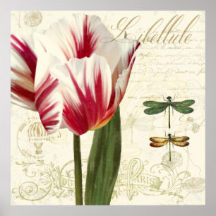 Natural History Sketchbook II botanical print