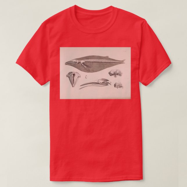 Natural History Whale Skeleton T-Shirt (Design Front)
