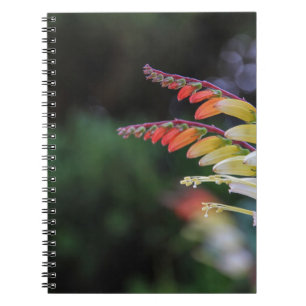Natural Notebook