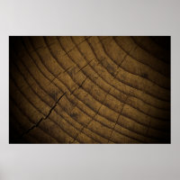  Natural Pine Wood Background. Raw Material. Organ