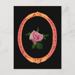 Natural Pink Rose Flower Postcard