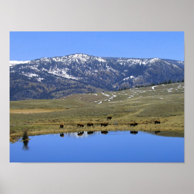 Natural Reflection Poster (Front)