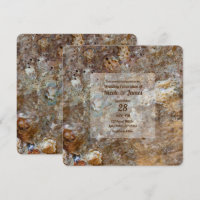 Natural Rough Rock Beach Sea Shell Summery