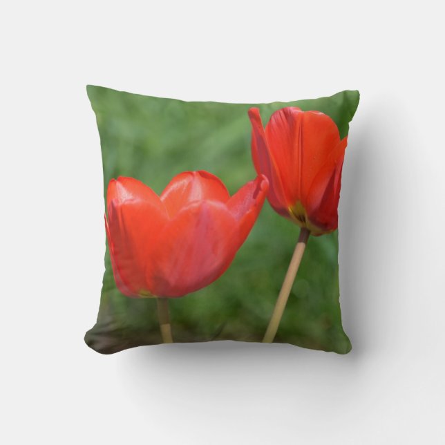 Natural Spring Tulip Floral Cushion (Front)