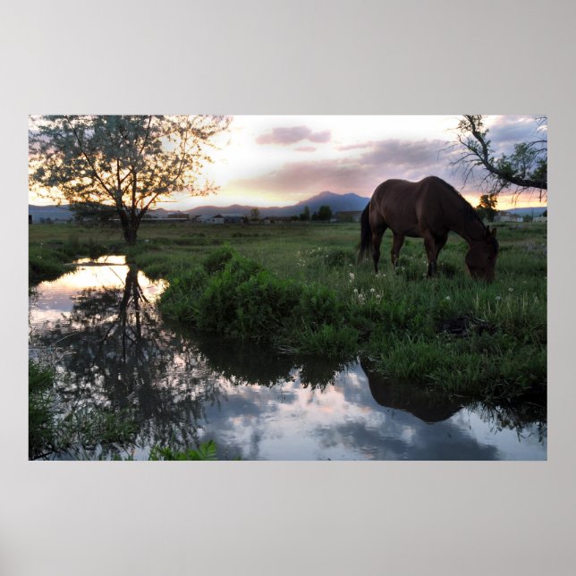 Natural Sunset Poster (Front)