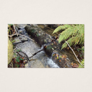 Natural   surroundings Card   Visit