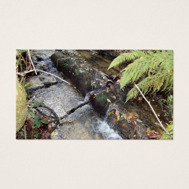 Natural   surroundings Card   Visit (Front)