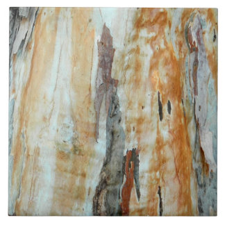 Natural tree bark colourful orange and grey pictur tile