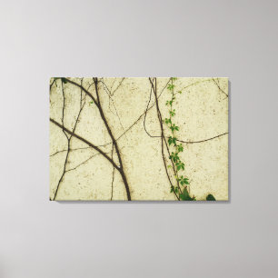 Natural Vines Canvas Print
