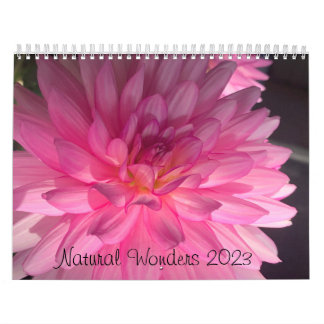 Natural wonder Two Page MediumCalendar, White 2023 Calendar